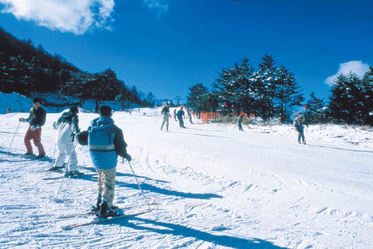 井川スキー場